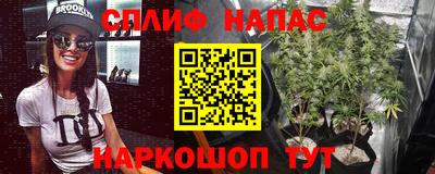 шишки Берёзовский