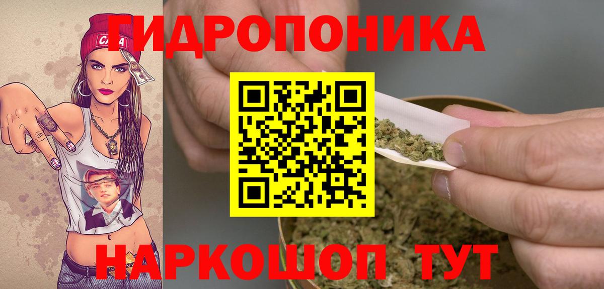 Каннабис индика Киселёвск